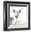 Deer-Philippe Debongnie-Framed Art Print