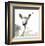 Deer-Philippe Debongnie-Framed Art Print