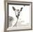 Deer-Philippe Debongnie-Framed Art Print