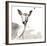 Deer-Philippe Debongnie-Framed Art Print