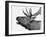 Deer-PhotoINC-Framed Photographic Print