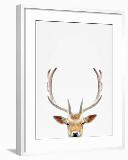 Deer-Tai Prints-Framed Photographic Print