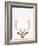 Deer-Tai Prints-Framed Photographic Print