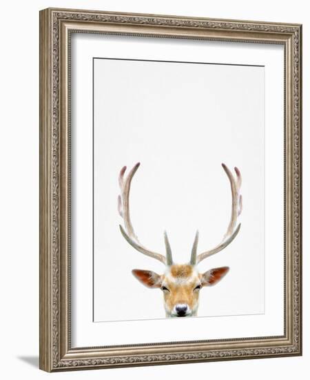 Deer-Tai Prints-Framed Photographic Print
