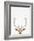 Deer-Tai Prints-Framed Photographic Print