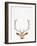 Deer-Tai Prints-Framed Photographic Print