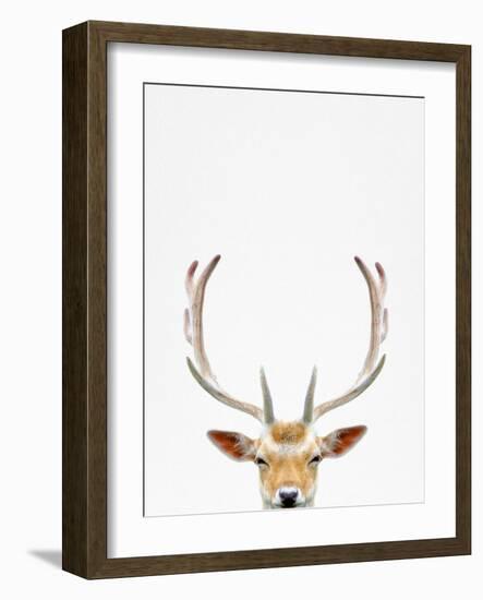 Deer-Tai Prints-Framed Photographic Print