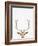 Deer-Tai Prints-Framed Photographic Print