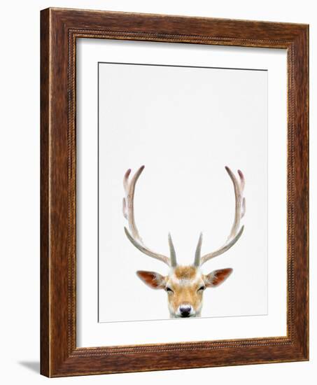 Deer-Tai Prints-Framed Photographic Print