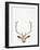 Deer-Tai Prints-Framed Photographic Print