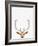 Deer-Tai Prints-Framed Photographic Print