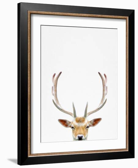 Deer-Tai Prints-Framed Photographic Print