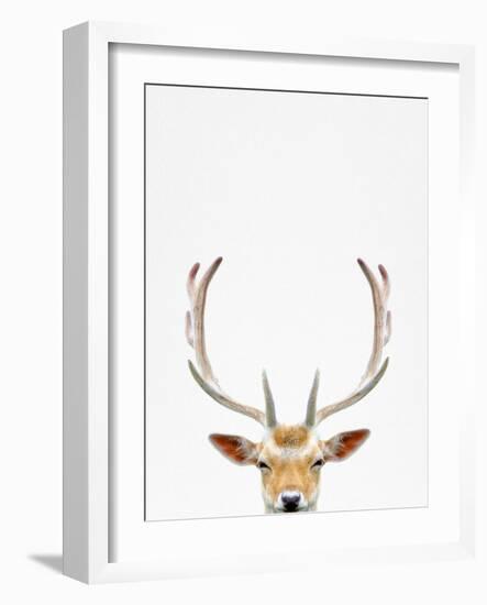 Deer-Tai Prints-Framed Photographic Print