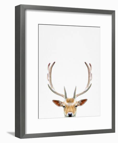 Deer-Tai Prints-Framed Photographic Print