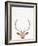 Deer-Tai Prints-Framed Photographic Print