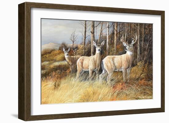 Deer-Trevor V. Swanson-Framed Giclee Print