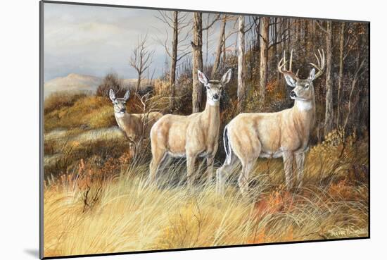 Deer-Trevor V. Swanson-Mounted Giclee Print