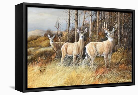 Deer-Trevor V. Swanson-Framed Premier Image Canvas