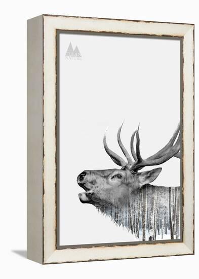 Deer-PhotoINC-Framed Stretched Canvas