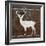 Deer-Erin Clark-Framed Giclee Print