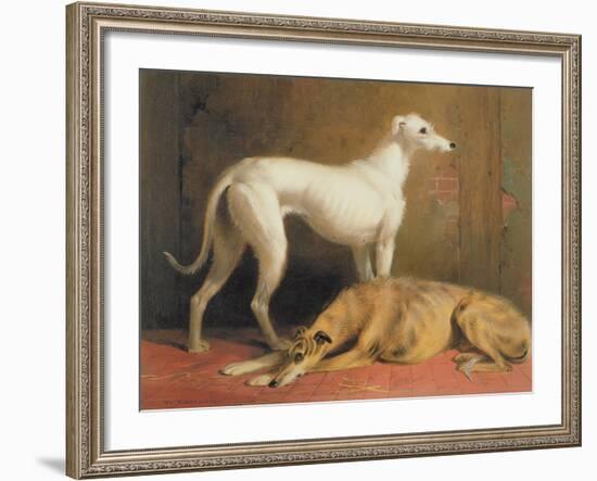 Deerhounds in an Interior-William Barraud-Framed Giclee Print