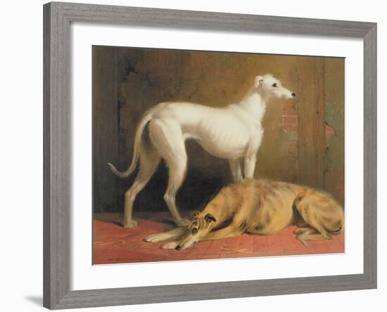 Deerhounds in an Interior-William Barraud-Framed Giclee Print