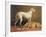 Deerhounds in an Interior-William Barraud-Framed Giclee Print