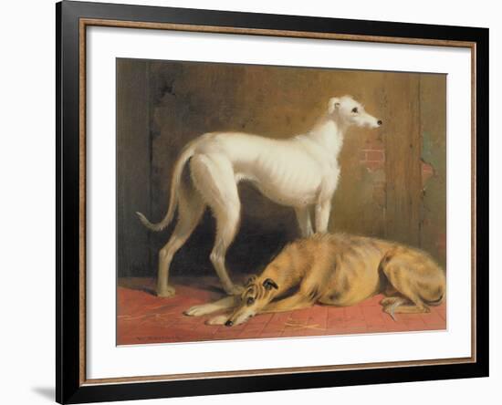 Deerhounds in an Interior-William Barraud-Framed Giclee Print