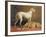 Deerhounds in an Interior-William Barraud-Framed Giclee Print