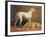 Deerhounds in an Interior-William Barraud-Framed Giclee Print