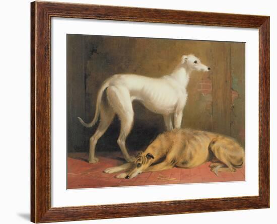 Deerhounds in an Interior-William Barraud-Framed Giclee Print