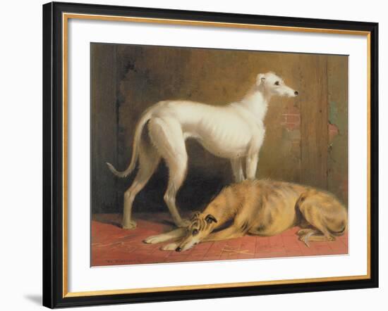 Deerhounds in an Interior-William Barraud-Framed Giclee Print