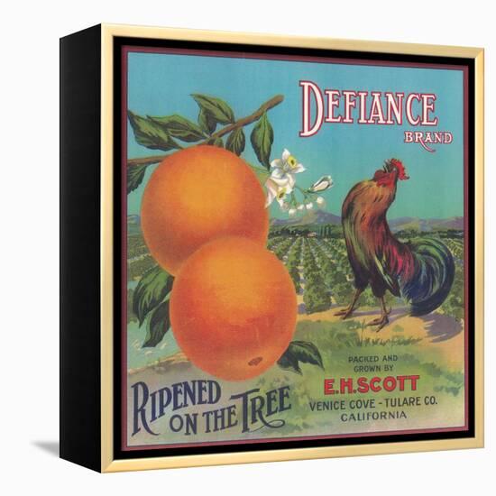 Defiance Orange Label - Venice Cove, CA-Lantern Press-Framed Stretched Canvas