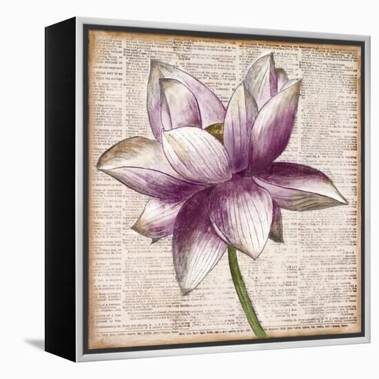 Defined Lotus I-Patricia Pinto-Framed Stretched Canvas