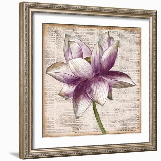 Defined Lotus I-Patricia Pinto-Framed Art Print