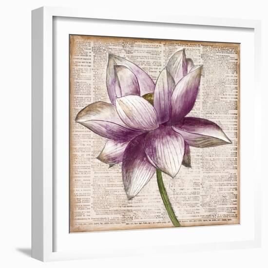 Defined Lotus I-Patricia Pinto-Framed Art Print