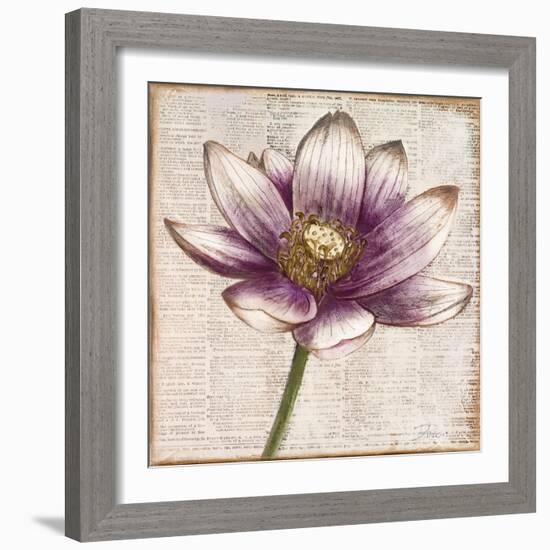 Defined Lotus II-Patricia Pinto-Framed Art Print