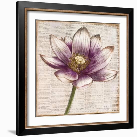 Defined Lotus II-Patricia Pinto-Framed Art Print