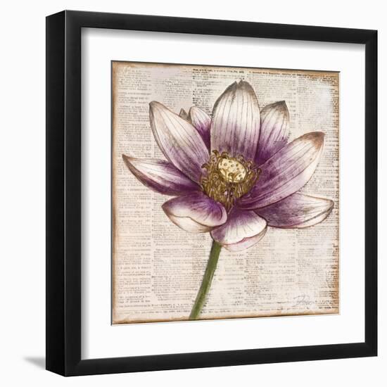 Defined Lotus II-Patricia Pinto-Framed Art Print