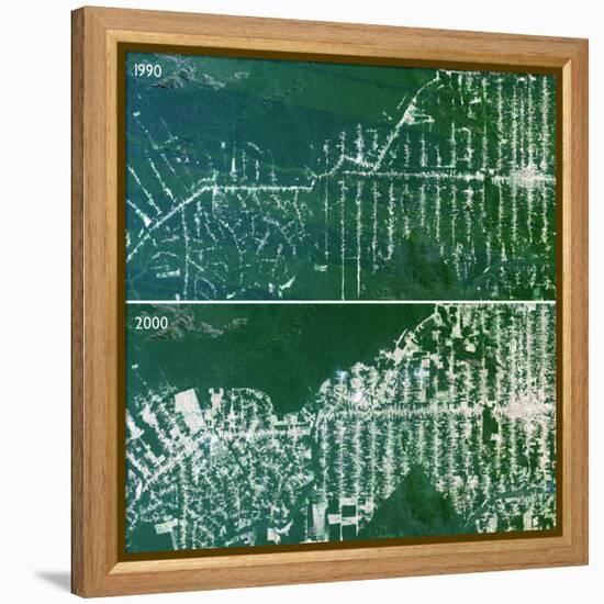 Deforestation In the Amazon-PLANETOBSERVER-Framed Premier Image Canvas