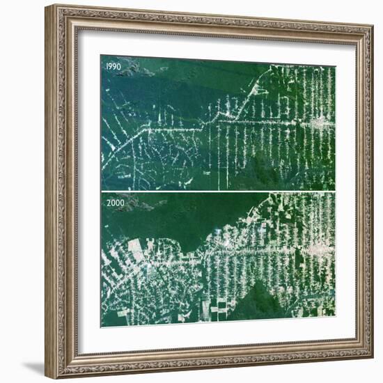 Deforestation In the Amazon-PLANETOBSERVER-Framed Premium Photographic Print