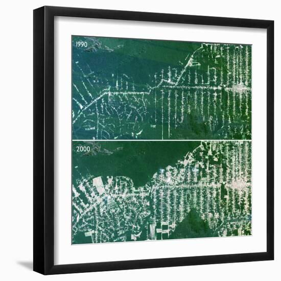 Deforestation In the Amazon-PLANETOBSERVER-Framed Premium Photographic Print