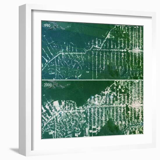 Deforestation In the Amazon-PLANETOBSERVER-Framed Premium Photographic Print