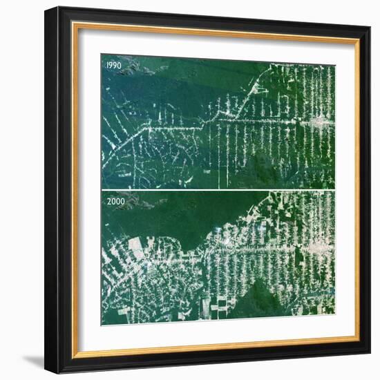 Deforestation In the Amazon-PLANETOBSERVER-Framed Premium Photographic Print