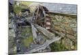 Photographic Print