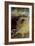 Degas: Arabesque, 1876-77-Edgar Degas-Framed Giclee Print