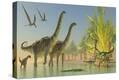 Stretched Canvas Print