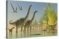 Stretched Canvas Print