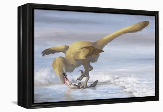 Deinonychus Antirrhopus Preys on a Fish-null-Framed Stretched Canvas