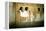 Deir El-Medineh, Luxor, Thebes, Egypt-null-Framed Premier Image Canvas